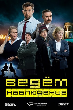 Ведем наблюдение (2015, сериал)