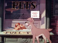 Леди и бродяга (1955)