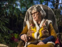 Жених для дурочки (2017)