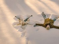 Фобия (2017)