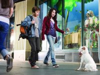 Отель для собак (2009)