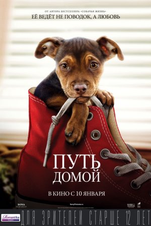 Смотреть Путь домой (2019) онлайн