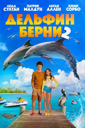 Дельфин Берни 2 (2019)