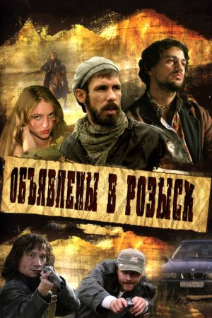 Объявлены в розыск (2008, сериал)