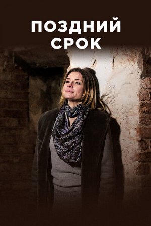 Смотреть Поздний срок (2020, сериал) онлайн