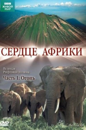 BBC: Сердце Африки (2010, сериал)