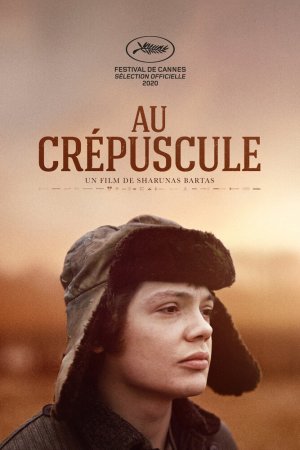 Смотреть В сумерках (2019) онлайн