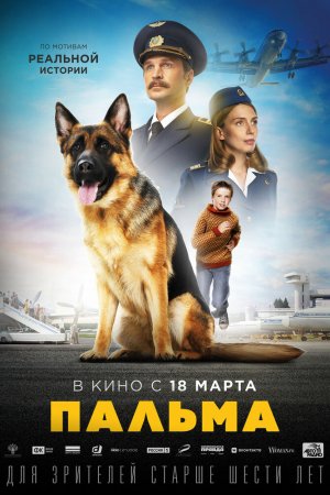 Смотреть Пальма (2020) онлайн