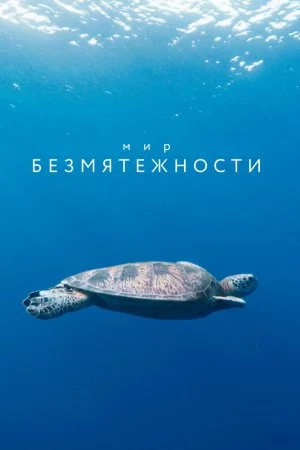 Смотреть Мир безмятежности (2020, сериал-медитация) онлайн