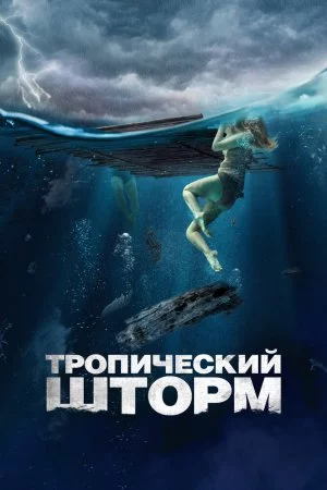 Тропический шторм (2022)